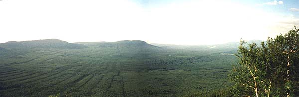 Панорама с Увана. 54 kb. 1250x400.
