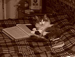 Правнучка кота учёного